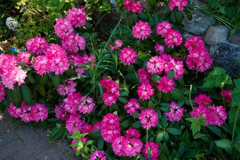 Stadtvilla B Apartment in Ostholstein