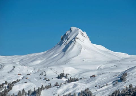 Nearby landmark, Natural landscape, Winter, Mountain view