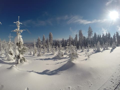 Skiing