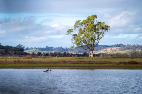 Natural landscape, Lake view