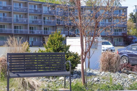 Property building, Garden view