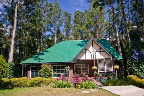 Perkasa Hotel Mt Kinabalu Resort in Sabah
