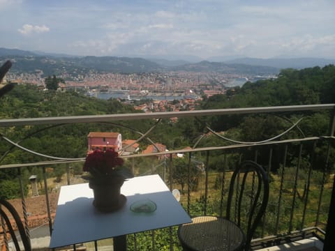View (from property/room)