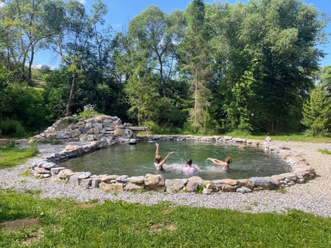 Garden, Swimming pool