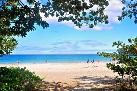 Activities, Beach