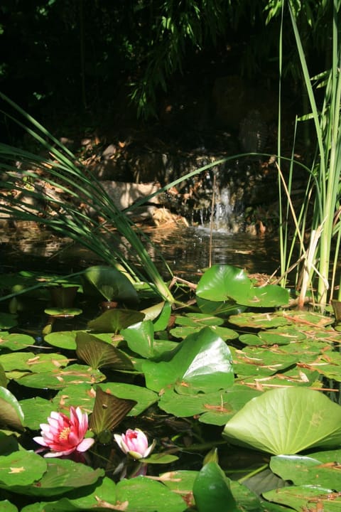 Le Mas De La Cigale Bleue, Caumont Sur Durance Bed and Breakfast in Le Thor