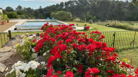 Garden, Swimming pool