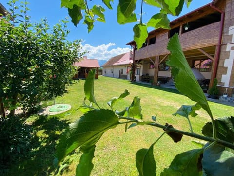 Casa Monica Country House in Brașov County