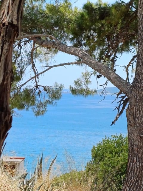 Apartments Jure Miljak Apartment in Podstrana