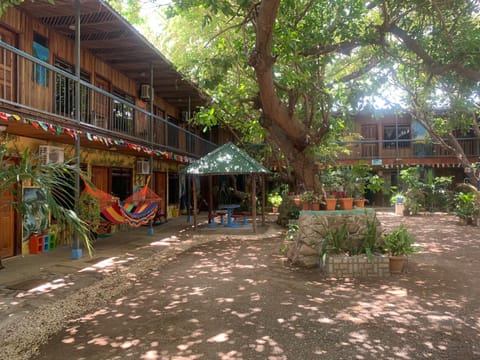 Property building, Day, Garden view