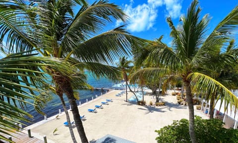 Pines & Palms Resort Resort in Upper Matecumbe Key