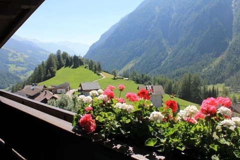 AppHaus Sonne Apartment in Carinthia, Austria