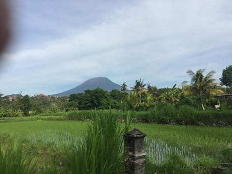 Pondok Intaran Vacation rental in Karangasem Regency