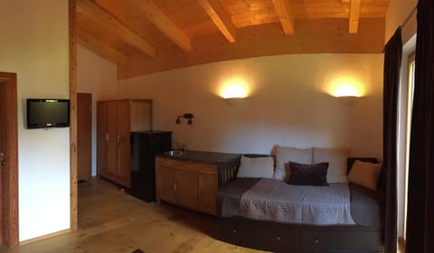 Kitchen or kitchenette, Photo of the whole room