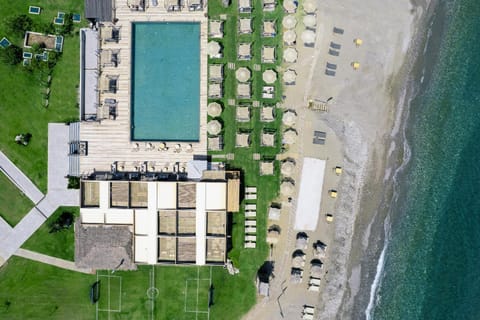 Bird's eye view, Beach, Swimming pool