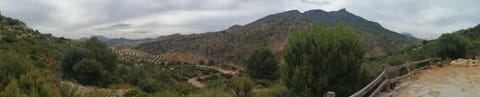 La solana de turon. El pino Country House in Sierra de las Nieves