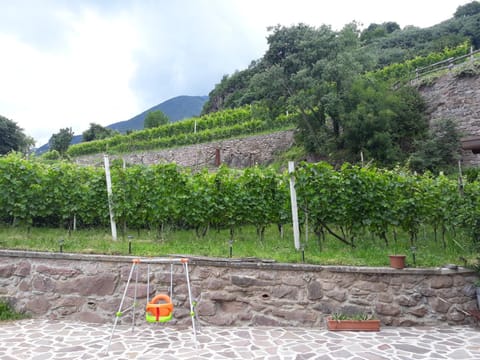 Agriturismo Ruc del Lac Farm Stay in Province of Brescia