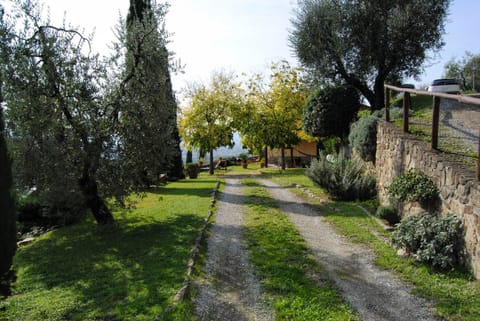 Facade/entrance, Garden