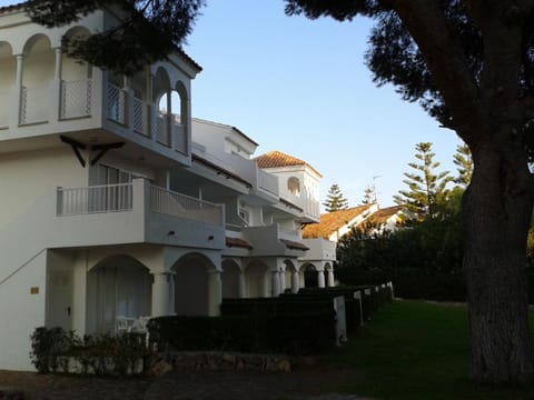 Property building, Day, Garden