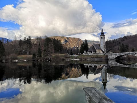 Apartmaji Volf Apartment in Bled