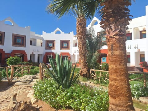 Sharm Inn Amarein - Boutique Hotel Resort in South Sinai Governorate