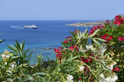 Natural landscape, Sea view