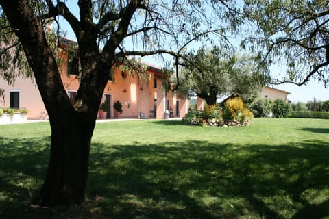 Facade/entrance, Garden, Garden view