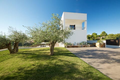 Patio, Garden, Garden view