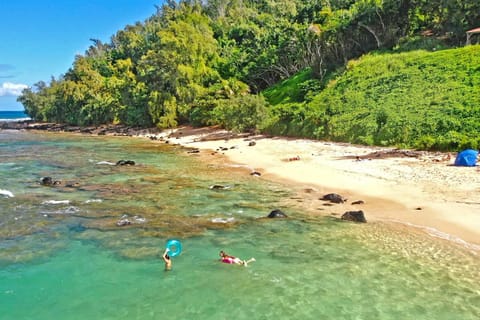 Moloa'a Bay Villa House in Kauai