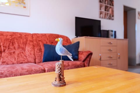 Am Deich 40 House in Zingst