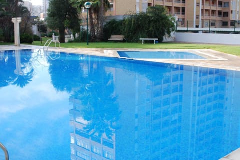 Swimming pool, Swimming pool