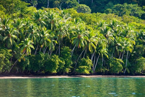 Playa Nicuesa Rainforest Eco Sanctuary Capanno nella natura in Puntarenas Province