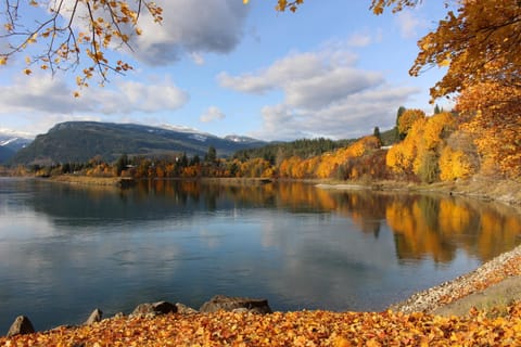 Neighbourhood, Natural landscape, Hiking, River view