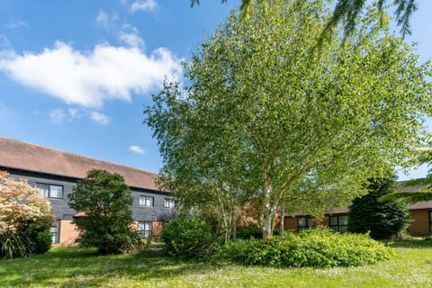 Garden view, Inner courtyard view