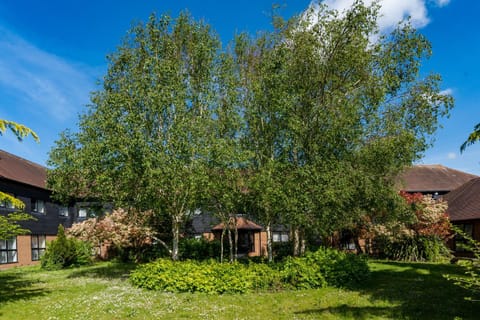 Inner courtyard view