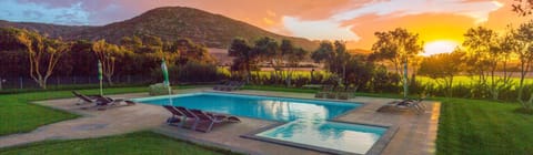 Summer, Pool view, Swimming pool, Sunset