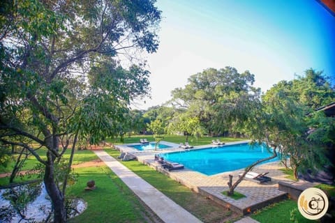 Spring, Day, Natural landscape, Garden, Pool view, Swimming pool, sunbed