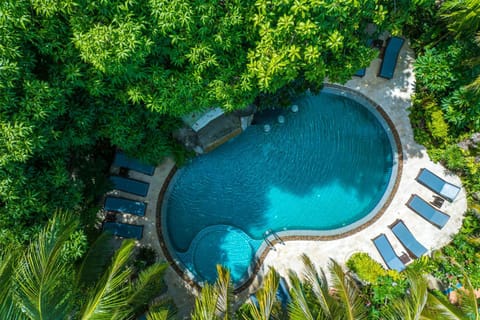 Spring, Day, Natural landscape, Bird's eye view, Garden, Aqua park, Garden view, Pool view, Swimming pool, Swimming pool