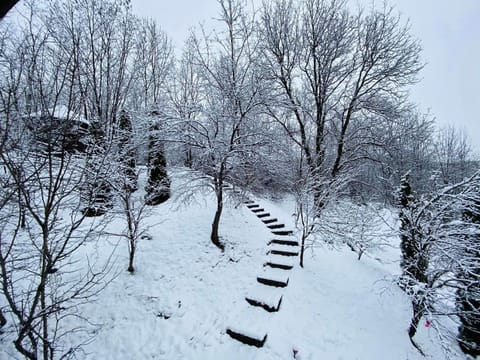 Day, Natural landscape, Winter, Inner courtyard view