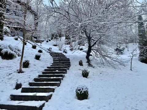 Day, Natural landscape, Winter, Inner courtyard view