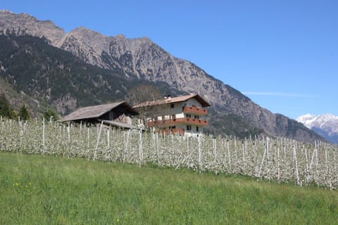 Property building, Neighbourhood, Natural landscape