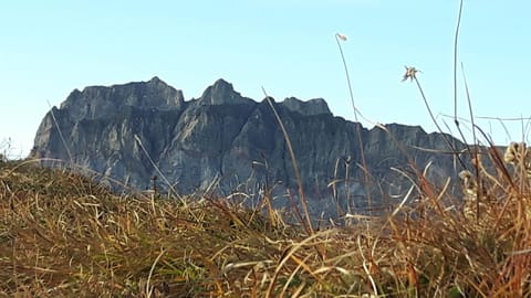 Haus Schroefler Apartment in Lech