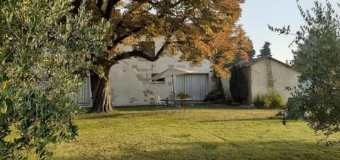 Property building, Garden, Garden view