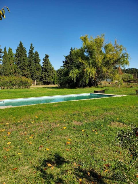 City view, Swimming pool