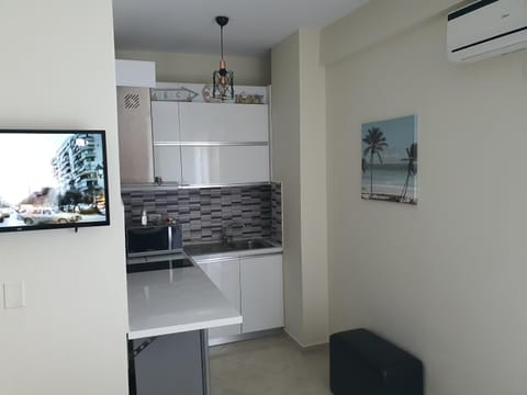 TV and multimedia, Kitchen or kitchenette, minibar, oven, pet friendly, stove