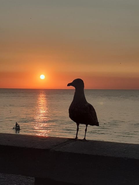 Sunrise, Sunset