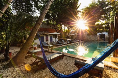 Patio, Pool view, Swimming pool, Sunrise