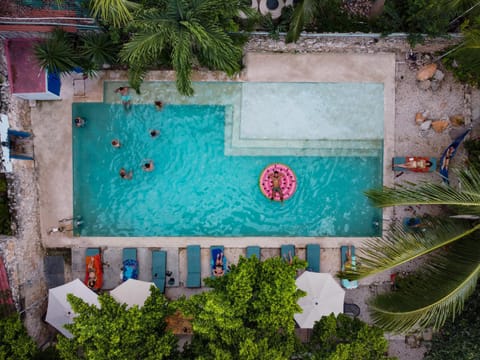 Garden view, Pool view, Swimming pool