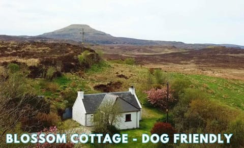 Araucaria Croft Skye House in Scotland