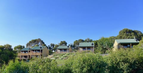 Daysy Hill Country Cottages Natur-Lodge in Port Campbell